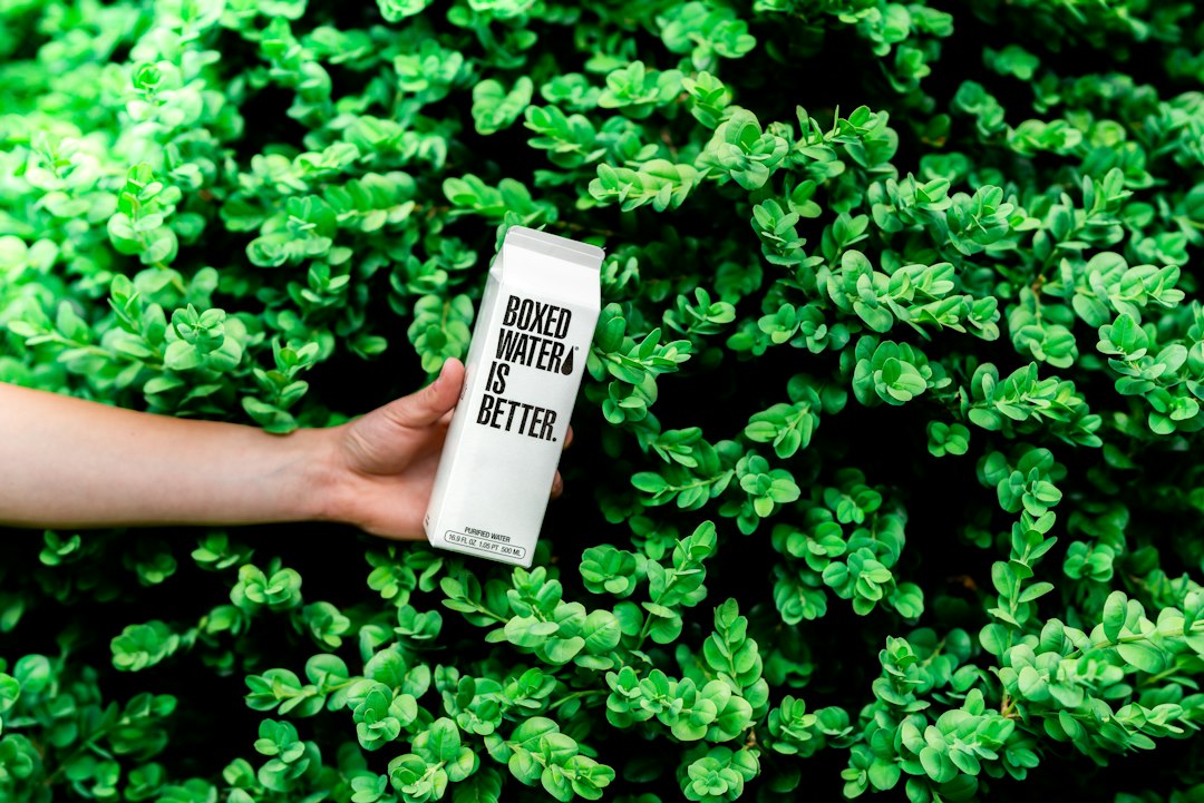 everyday problem-solving products